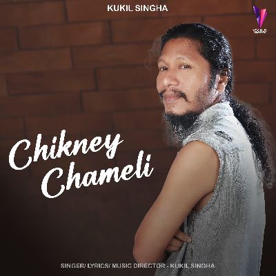 Chikney Chameli, Listen the song Chikney Chameli, Play the song Chikney Chameli, Download the song Chikney Chameli
