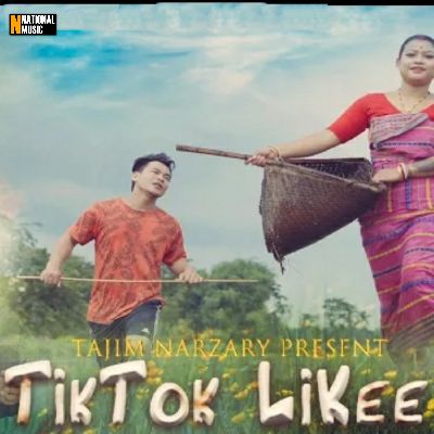 TikTok Likee, Listen the songs of  TikTok Likee, Play the songs of TikTok Likee, Download the songs of TikTok Likee