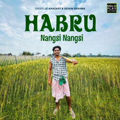 Habru Nangsi Nangsi, Listen the song Habru Nangsi Nangsi, Play the song Habru Nangsi Nangsi, Download the song Habru Nangsi Nangsi