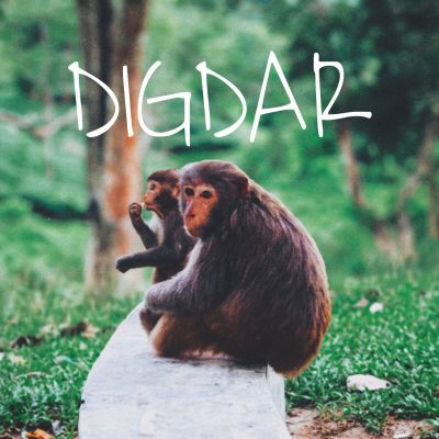 Digdar, Listen the songs of  Digdar, Play the songs of Digdar, Download the songs of Digdar