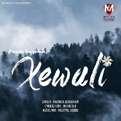 Xewali, Listen the song Xewali, Play the song Xewali, Download the song Xewali