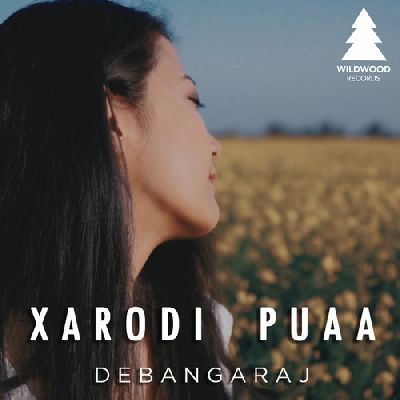 Xarodi Puaa, Listen the song Xarodi Puaa, Play the song Xarodi Puaa, Download the song Xarodi Puaa