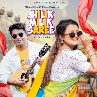 JHILIK MILIK SAREE