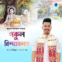 Gokul Brindabonat