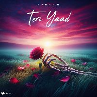 Teri Yaad