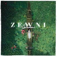 ZEWNI GELENAI