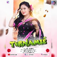 Turnamse