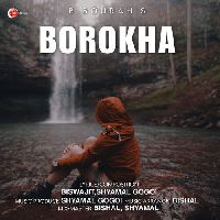 Borokha