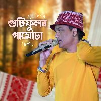 GUTI PHULOR GAMUSA