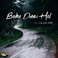 Bohu Dinei Hol