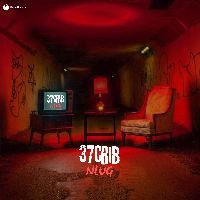 37Crib