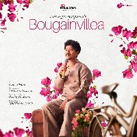 Bougainvillea