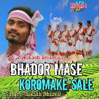 Bhador Mase Koromake Sale