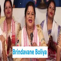 Brindavane Boliya
