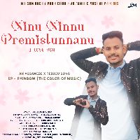 Ninu Ninnu Premistunnanu