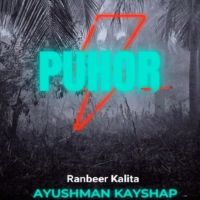 Puhor